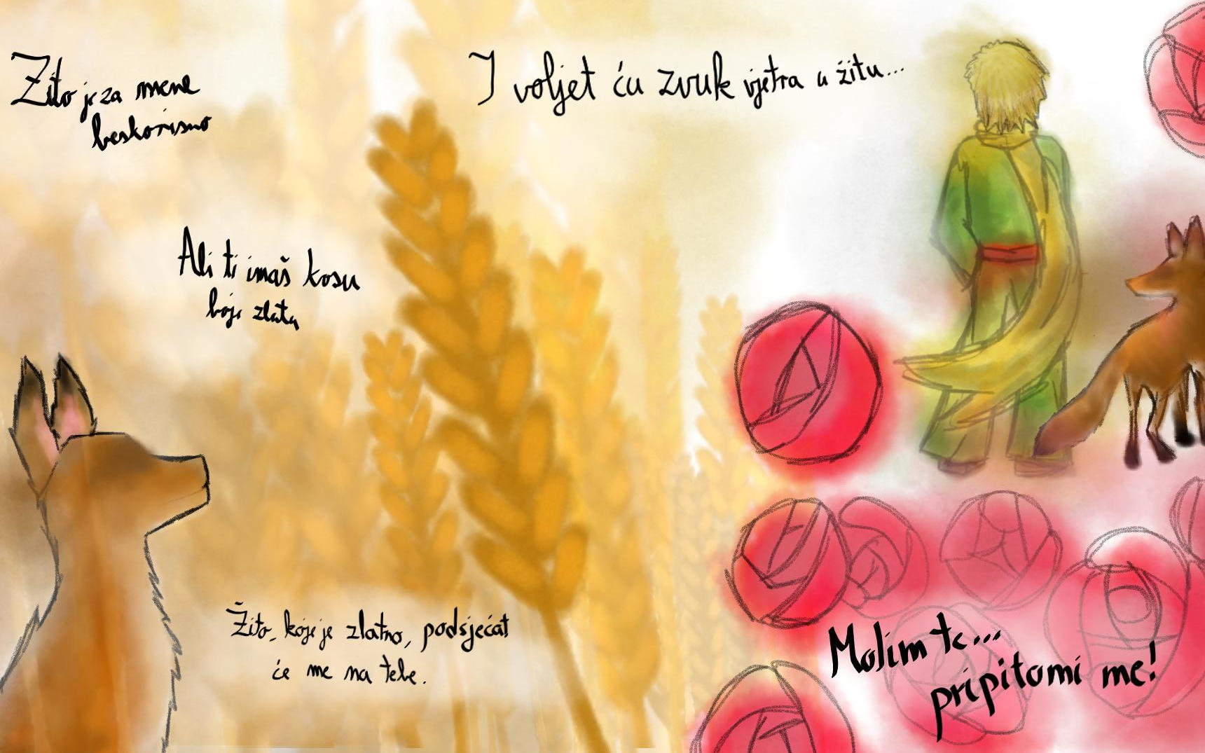 Mali Princ u slici i riječi