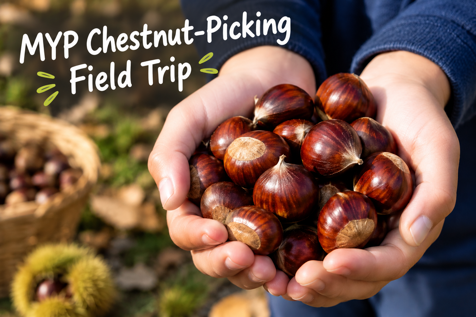 MYP Chestnut-Picking Field Trip