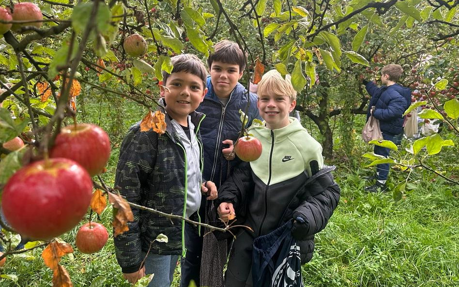 Fall Fun at the Farm